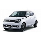 IGNIS